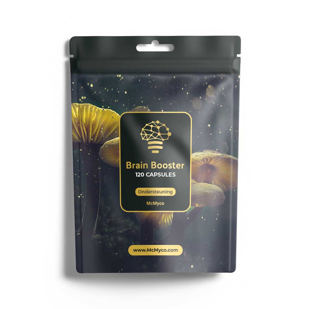 Brain Booster Kapseln - Image 1
