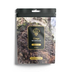 Chaga