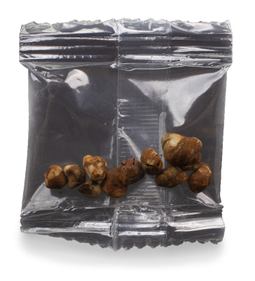 Mondo Microdose 10 x 1g